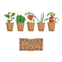   Set crestere salata, Everestus, 22FEB0166, 60x40x20 cm, Carton, Bej