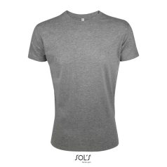 REGENT-F-MEN TSHIRT-150g, Cotton, Grey Melange, TWIN, L