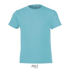 REGENT-F-KIDS TSHIRT-150g, Cotton, Atoll, MALE, L