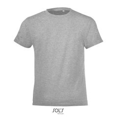 REGENT-F-KIDS TSHIRT-150g, Cotton, Grey Melange, MALE, XL