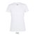 REGENT-WOMEN TSHIRT-150g, Cotton, white, TWIN, L