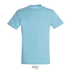 REGENT-UNI TSHIRT-150g, Cotton, Atoll, TWIN, M