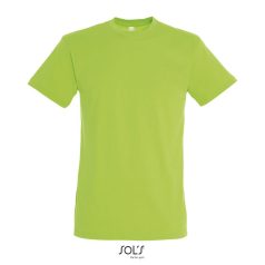 REGENT-UNI TSHIRT-150g, Cotton, Lime, TWIN, XXL