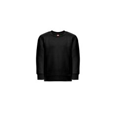   Bluza pentru Copii, 42FEB234894, THC Delta Kids, Bumbac, Poliester, Unisex, Negru, 12